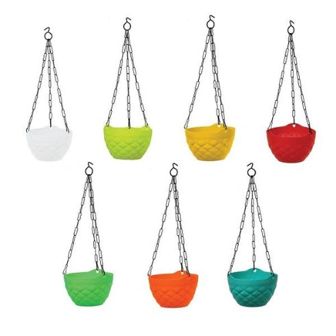 Hanging Basket Mixed Colours